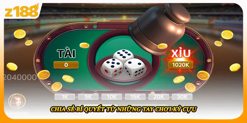 Chia sẻ bí quyết từ những tay chơi kỳ cựu